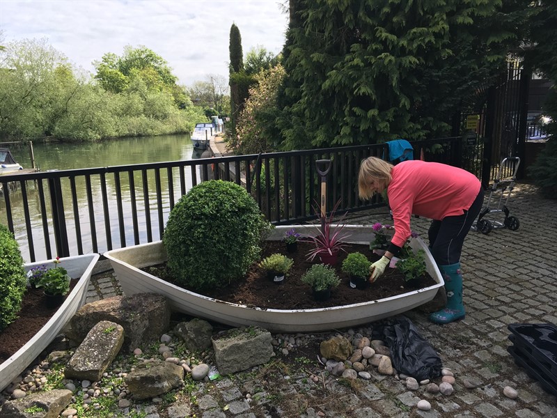 Boat planting 7 May 2.jpg